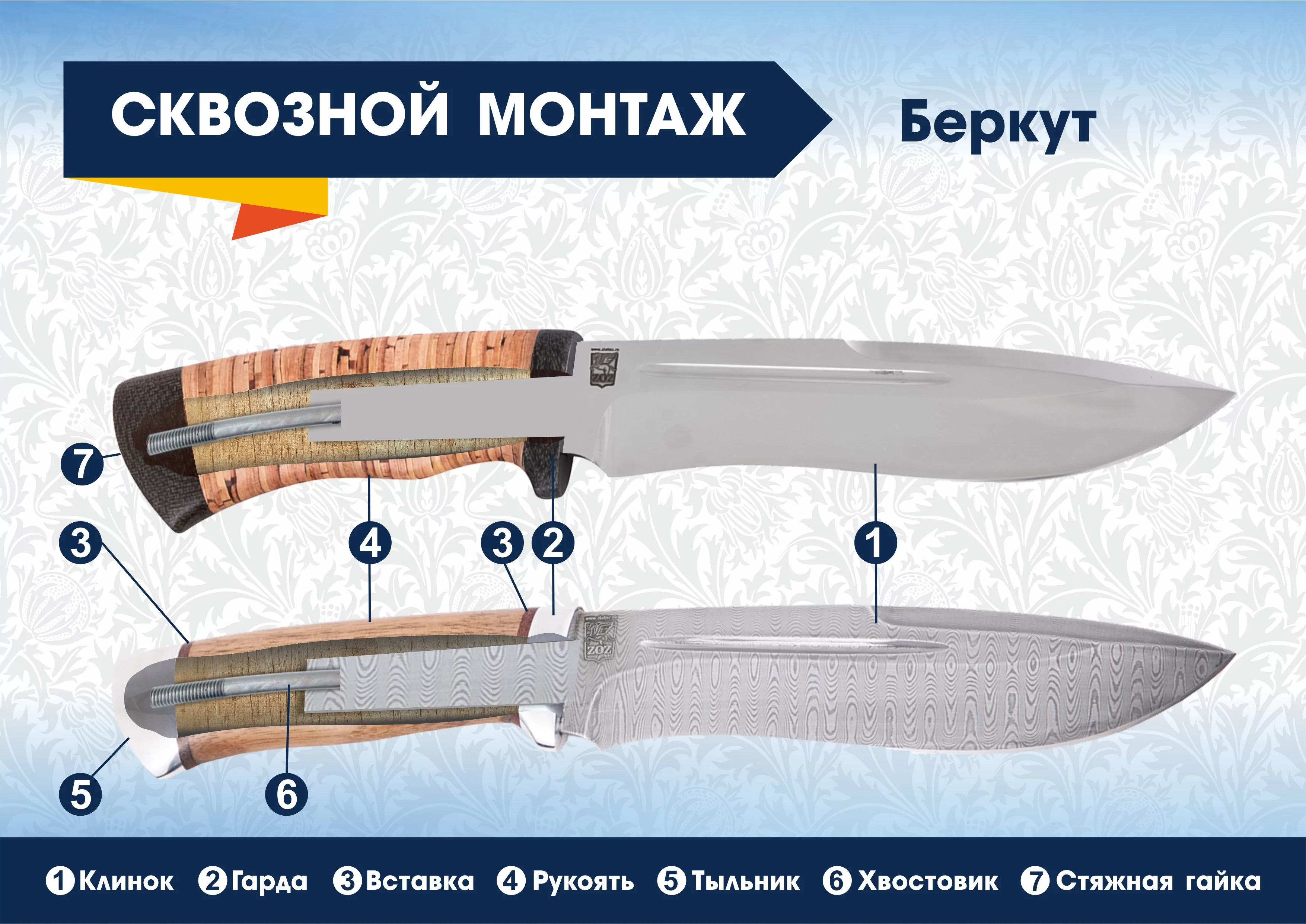 беркут