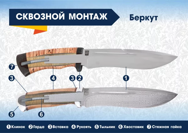 беркут
