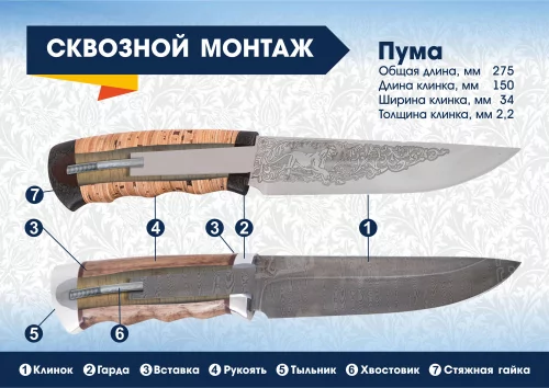 Пума