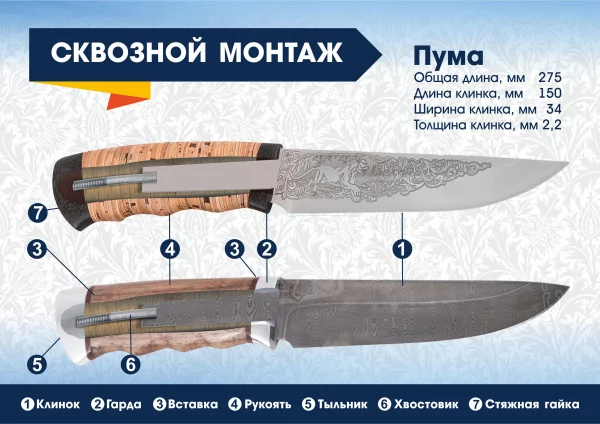 Пума