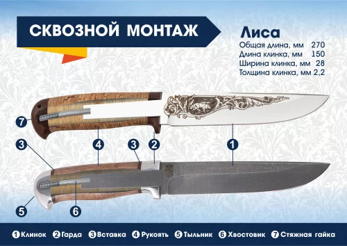 Лиса