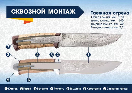 Таежная стрела